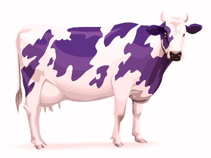 Vaca Purpura