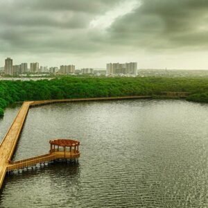 Cienaga de Mallorquin